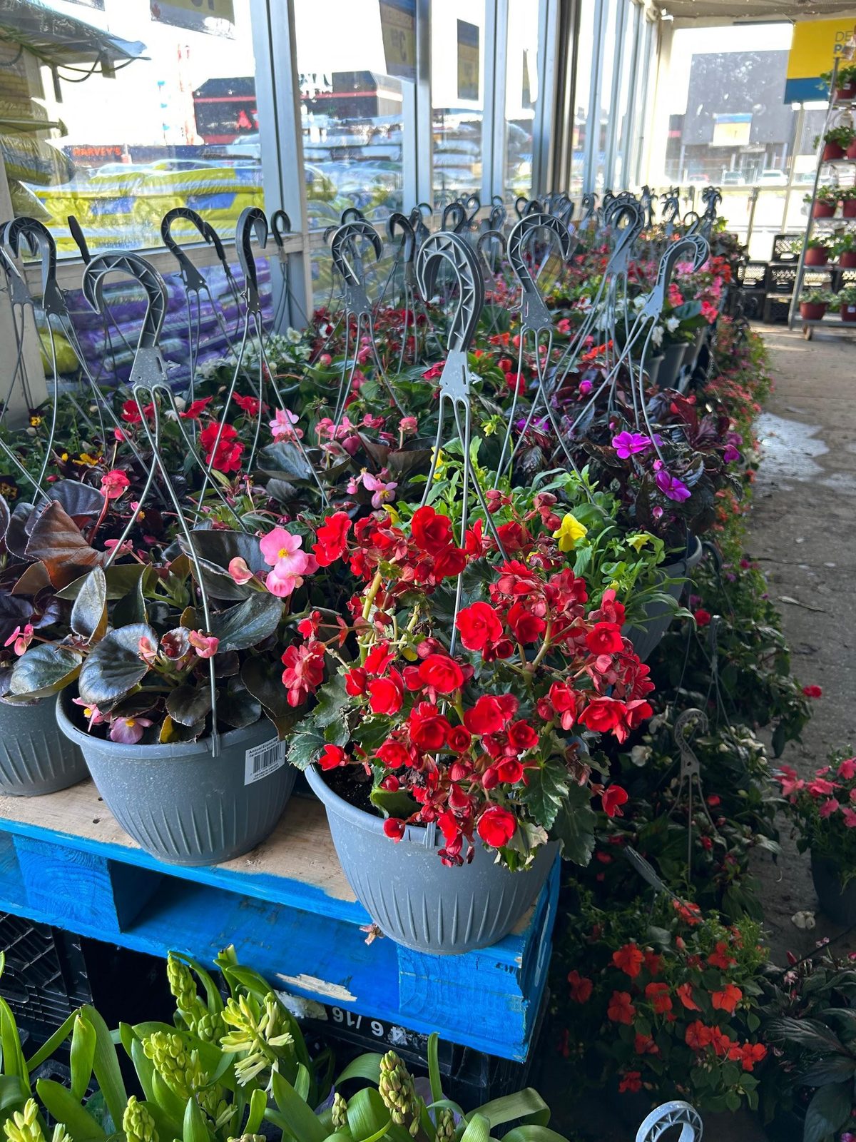 Fleurs